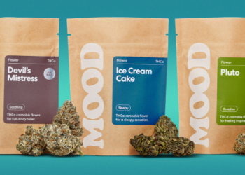 The Mood Experience: Why Mood Is More Than a Brand