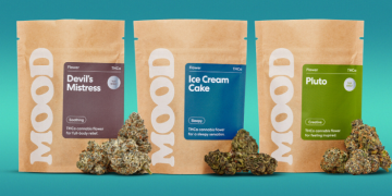 The Mood Experience: Why Mood Is More Than a Brand